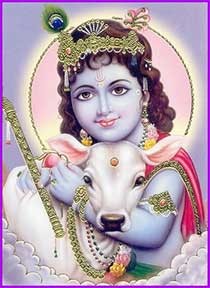 Krishna, god of love